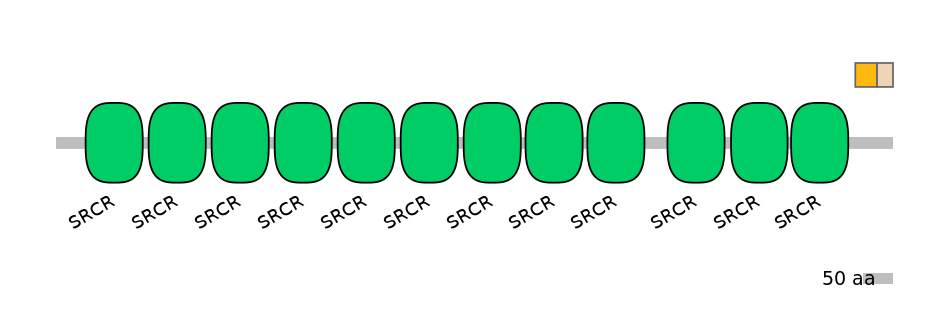 HsaEX0013763-EXC