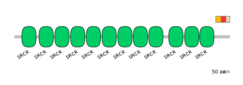 HsaEX0013763-INC