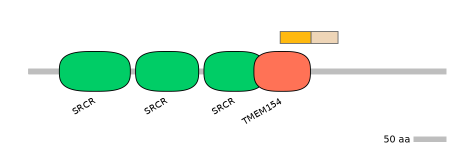 HsaEX0013900-EXC