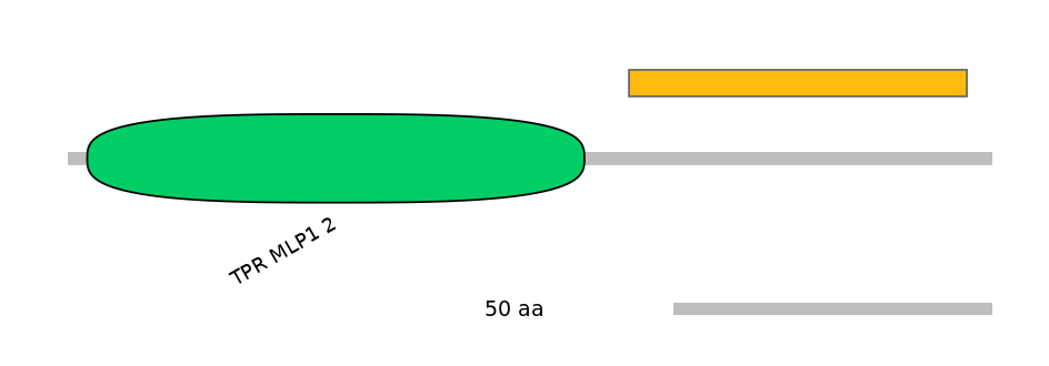 HsaEX0014658-EXC