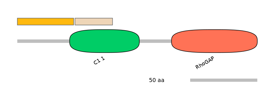 HsaEX0015264-EXC