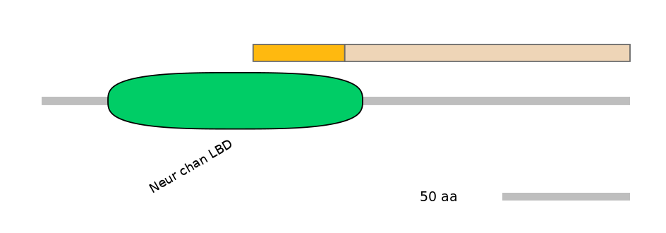 HsaEX0015326-EXC