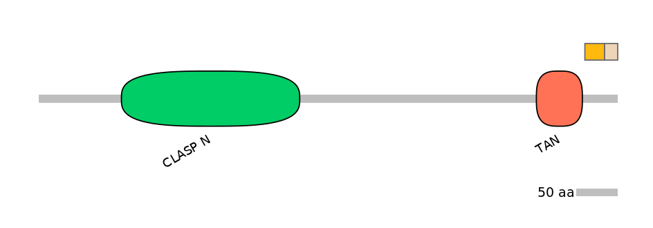 HsaEX0015472-EXC