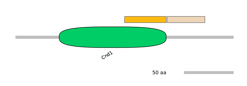 HsaEX0015502-EXC