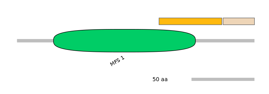HsaEX0015638-EXC