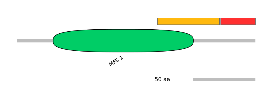 HsaEX0015638-INC