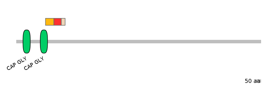 HsaEX0015668-INC