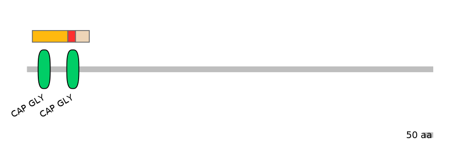 HsaEX0015669-INC