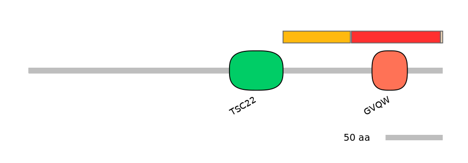 HsaEX0016086-INC