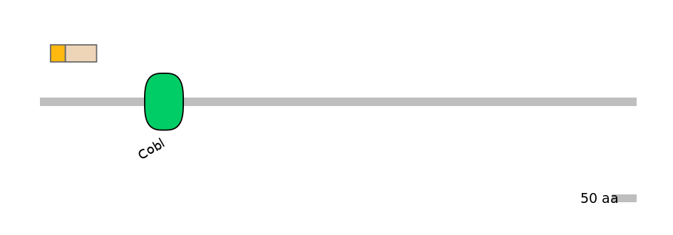 HsaEX0016161-EXC