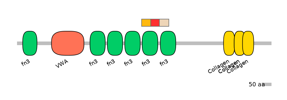 HsaEX0016419-INC