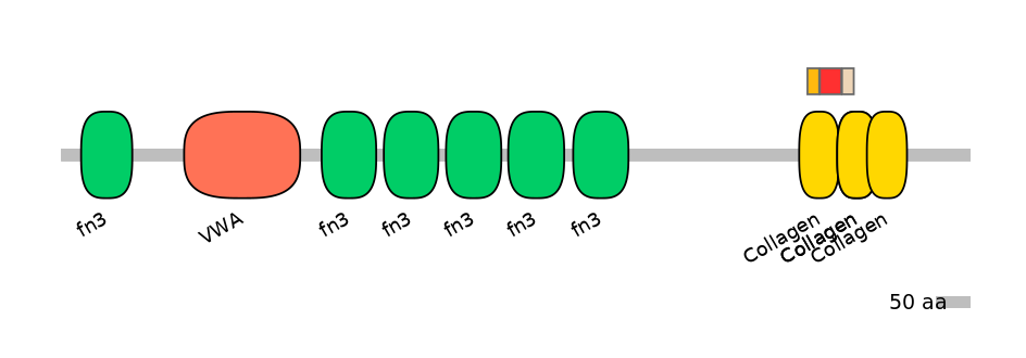 HsaEX0016420-INC