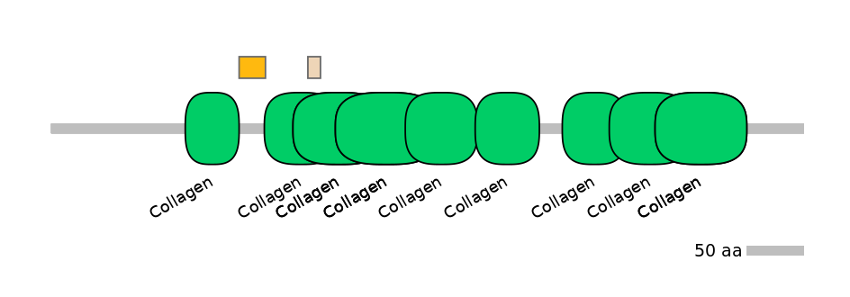 HsaEX0016459-EXC