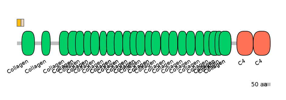 HsaEX0016559-EXC