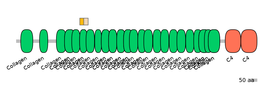 HsaEX0016563-EXC