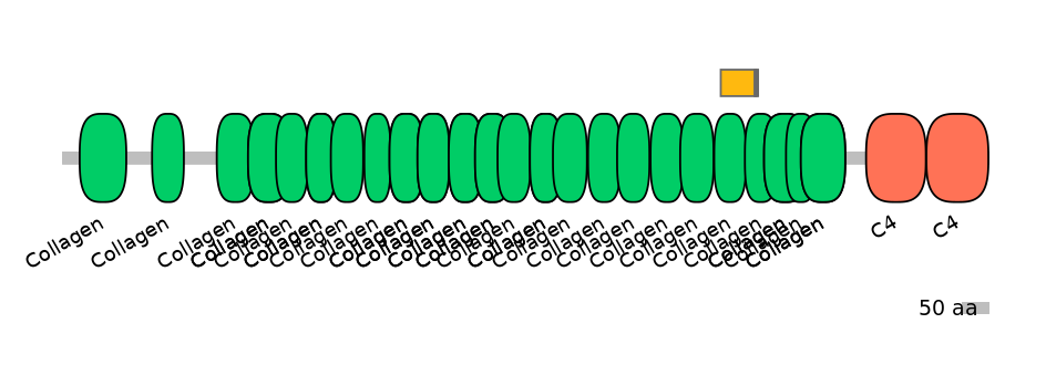HsaEX0016572-INC