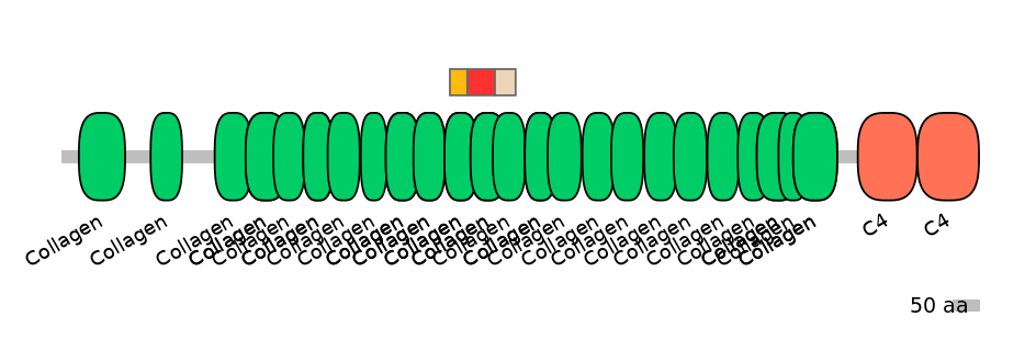 HsaEX0016575-INC