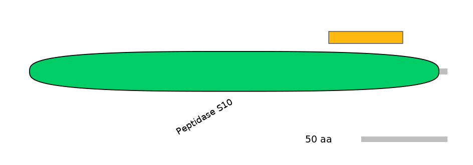 HsaEX0017095-INC