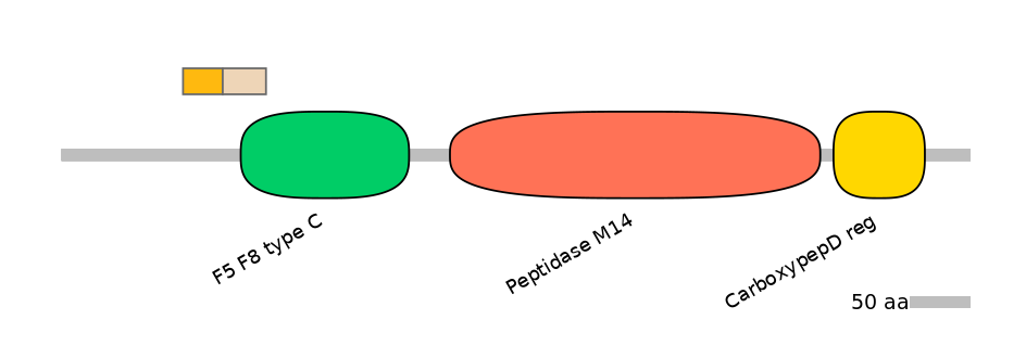 HsaEX0017103-EXC