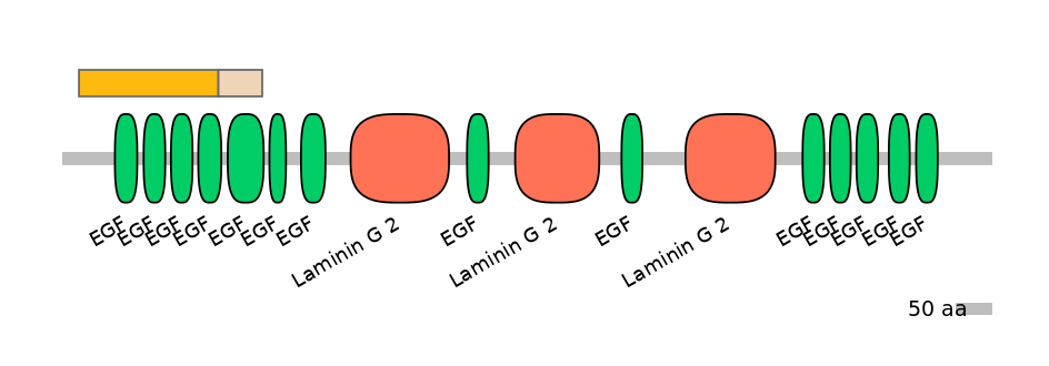 HsaEX0017139-EXC