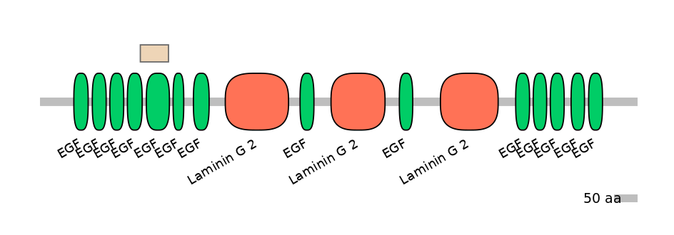HsaEX0017140-EXC