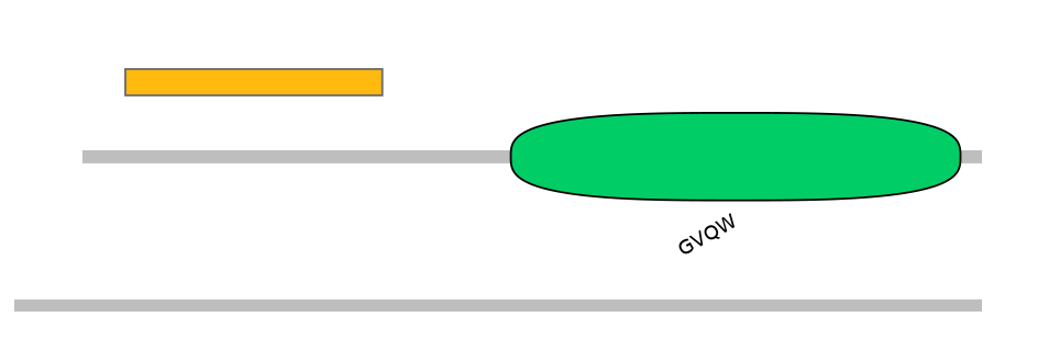 HsaEX0017160-EXC