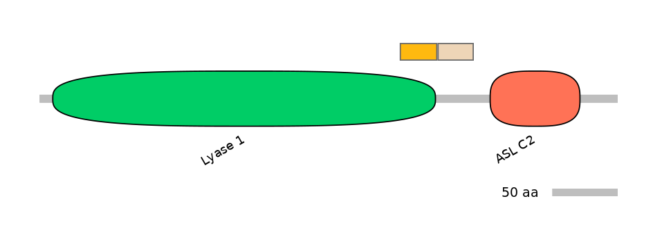 HsaEX0017161-EXC