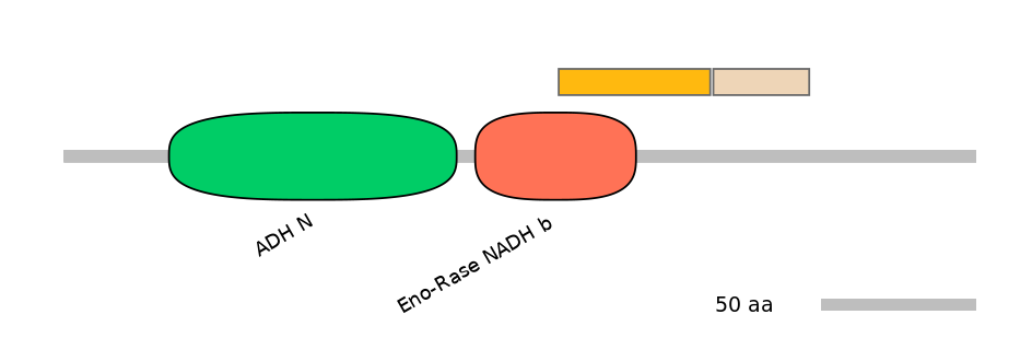 HsaEX0017387-EXC