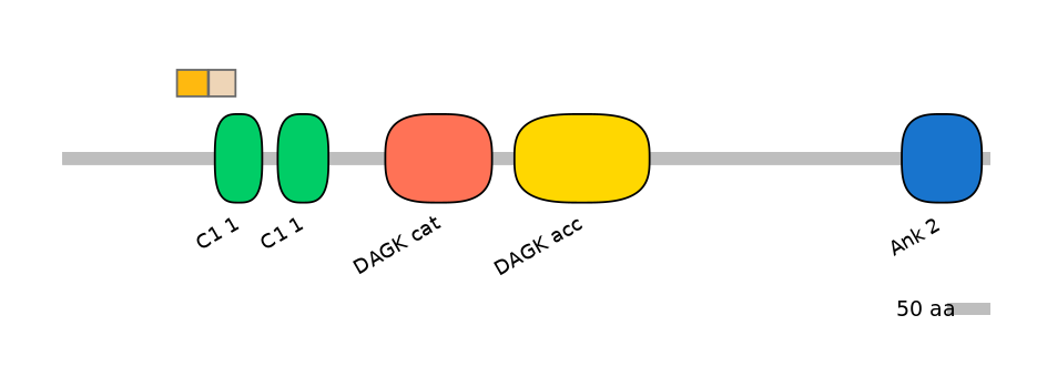 HsaEX0019445-EXC