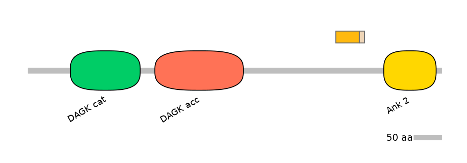 HsaEX0019446-EXC
