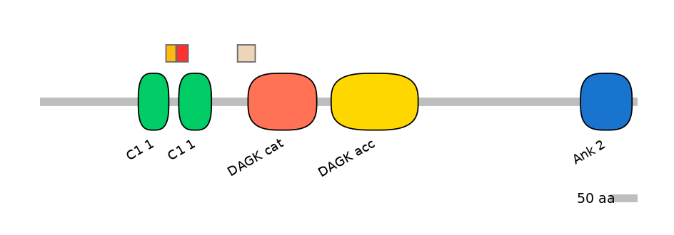 HsaEX0019449-INC