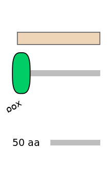 HsaEX0019935-EXC