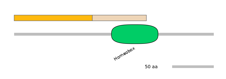 HsaEX0019937-EXC