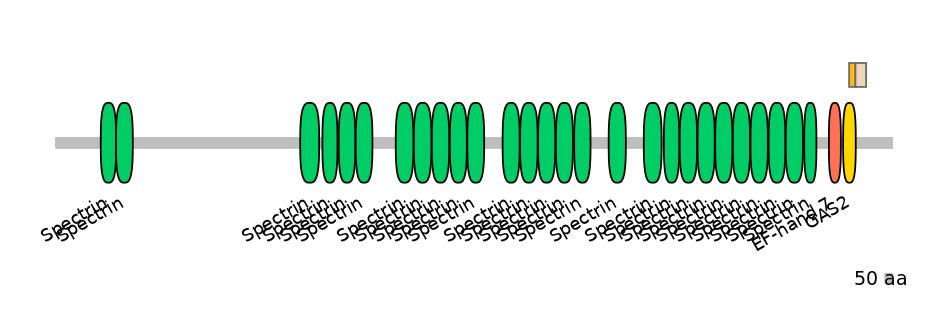 HsaEX0021044-EXC