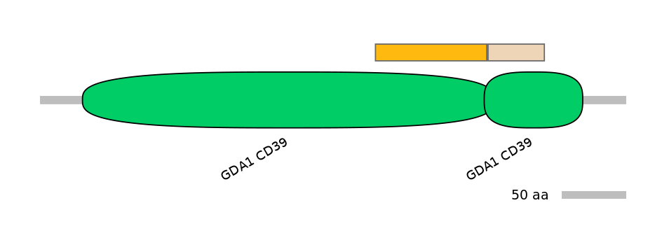 HsaEX0022567-EXC