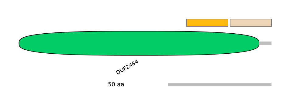 HsaEX0023904-EXC