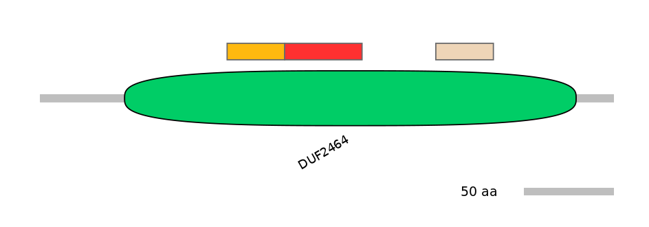 HsaEX0023910-INC