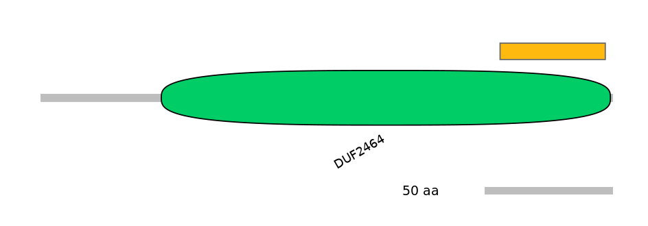 HsaEX0023912-EXC
