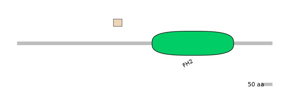HsaEX0025762-EXC