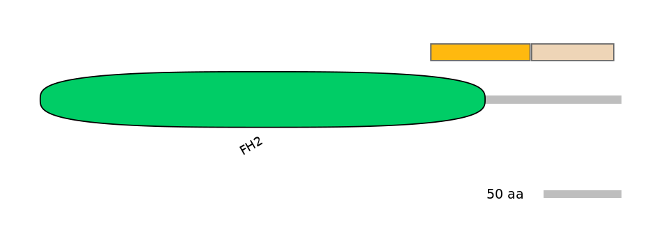 HsaEX0025779-EXC