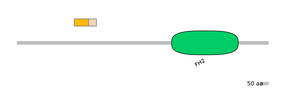 HsaEX0025787-EXC