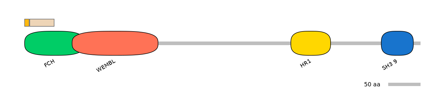 HsaEX0026109-EXC