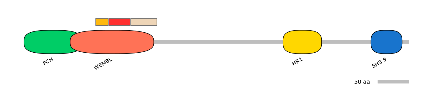 HsaEX0026115-INC