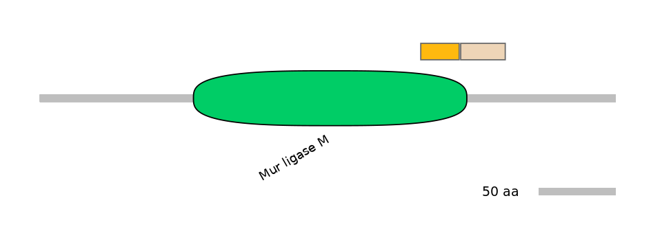 HsaEX0026313-EXC