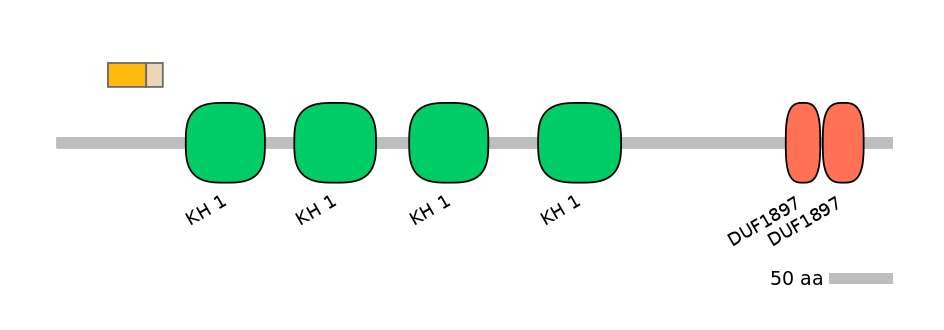 HsaEX0026562-EXC