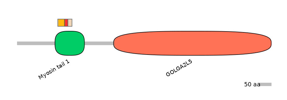 HsaEX0027949-INC