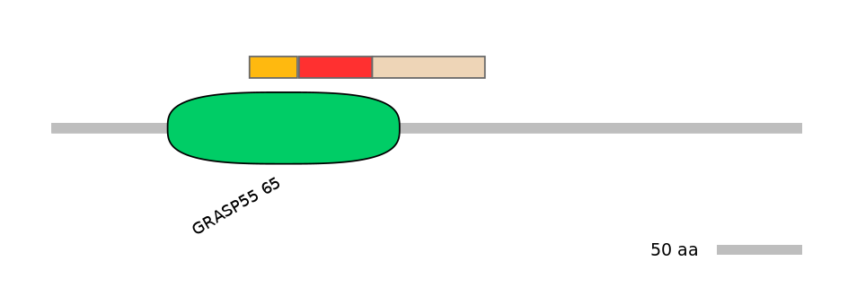 HsaEX0028056-INC