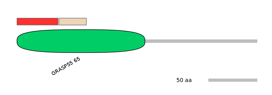 HsaEX0028058-INC