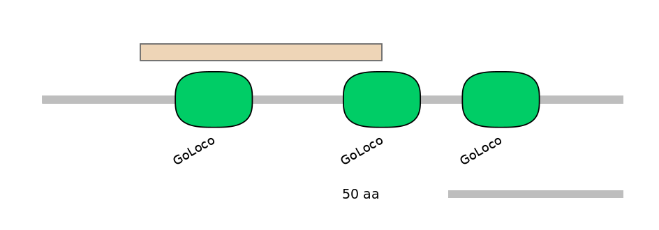 HsaEX0028464-EXC