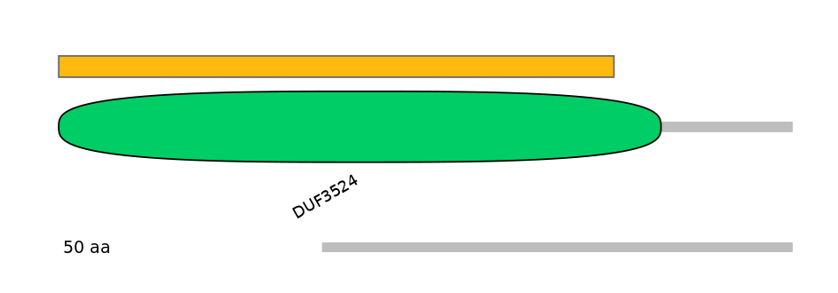 HsaEX0028906-EXC